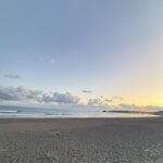 【2025年】菜の花や桜がきれいな石垣山城-御城印・スタンプ情報も